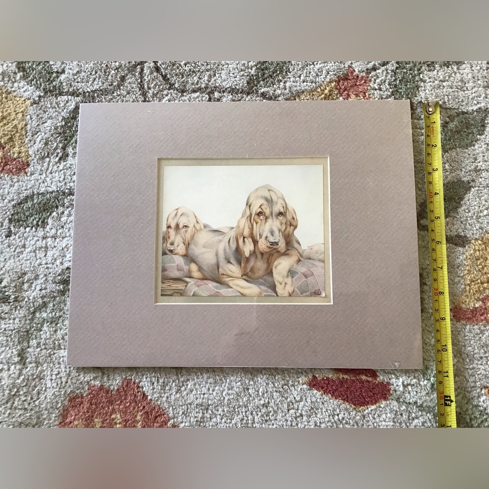 Vintage bookplate, pages of Bloodhound, matted ready to frame